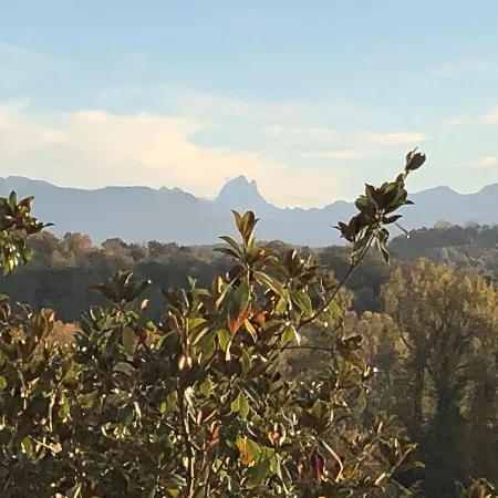 King A Luxury Lägenhet