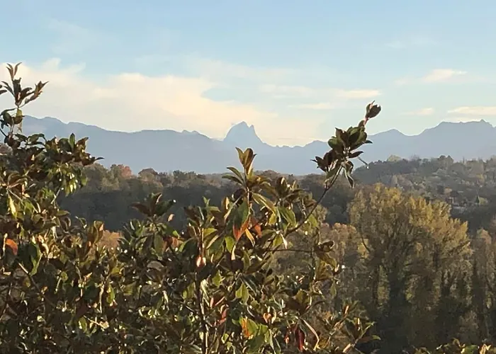 King A Luxury Lägenhet